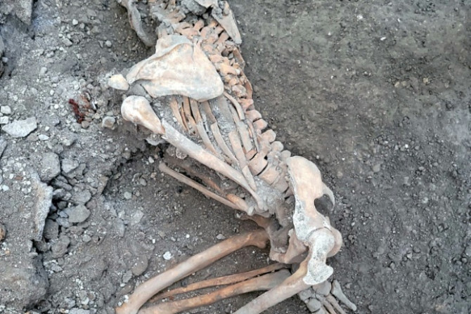 Les squelettes récemment découverts sont probablement des hommes d&#39;âge moyen