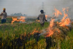 Le problème clé reste hors des mains de la Green War Room : les énormes incendies allumés par les agriculteurs à l&#39;extérieur de Delhi pour nettoyer les rizières après les récoltes.