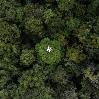 Les drones font partie d&#39;un arsenal de plus en plus sophistiqué utilisé par les scientifiques pour comprendre les forêts et leur rôle dans la lutte contre le changement climatique.