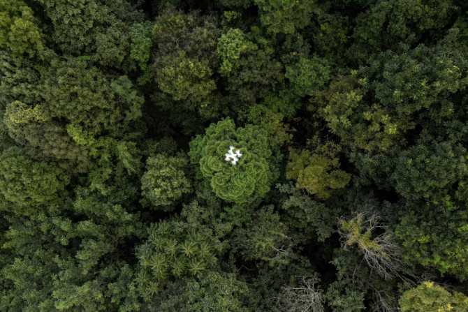 Les drones font partie d&#39;un arsenal de plus en plus sophistiqué utilisé par les scientifiques pour comprendre les forêts et leur rôle dans la lutte contre le changement climatique.