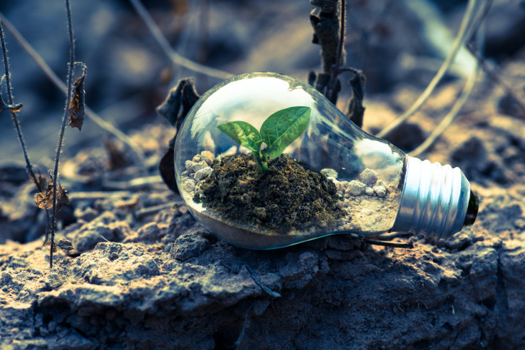 Les greentech peuvent-elles sauver la planète ?